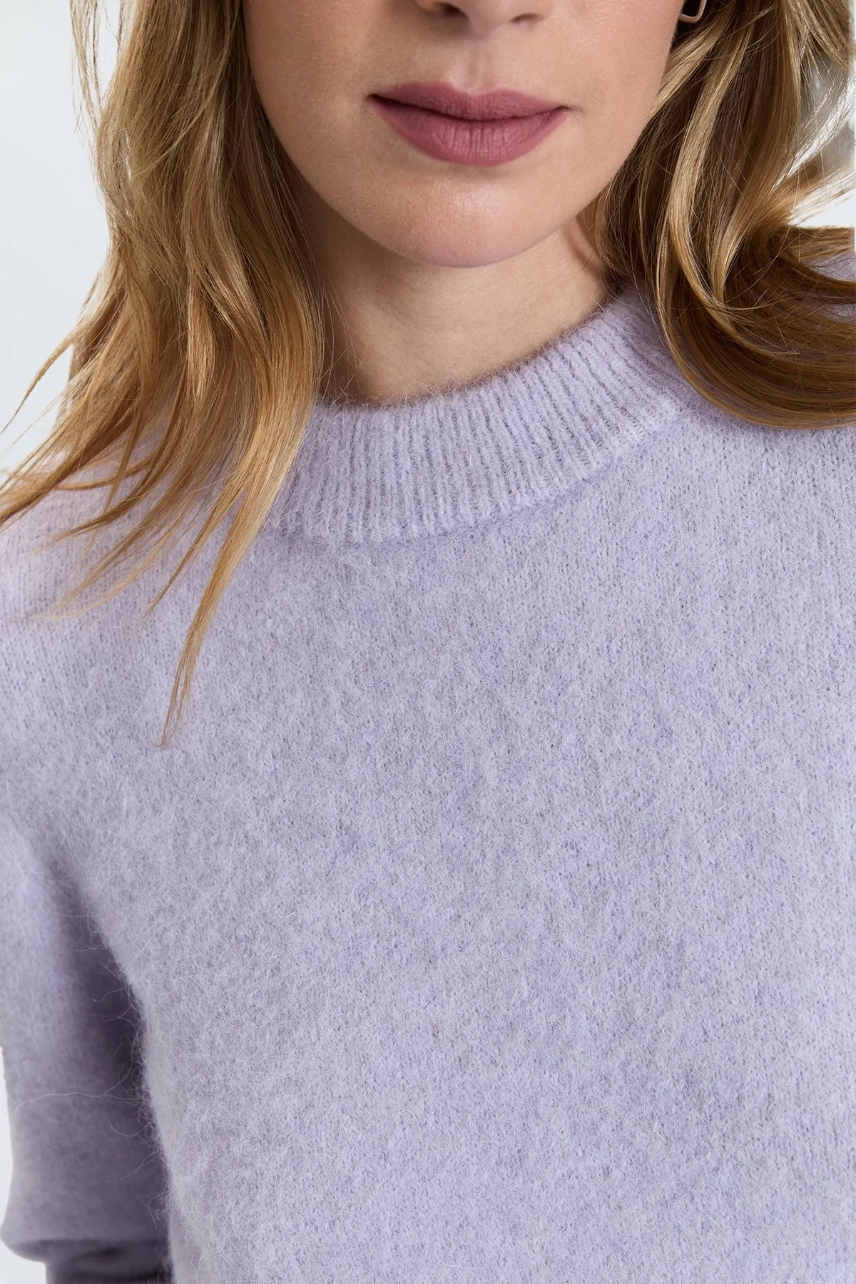 PIS Sara Shrunken Crewneck Sweater in Heather Wisteria