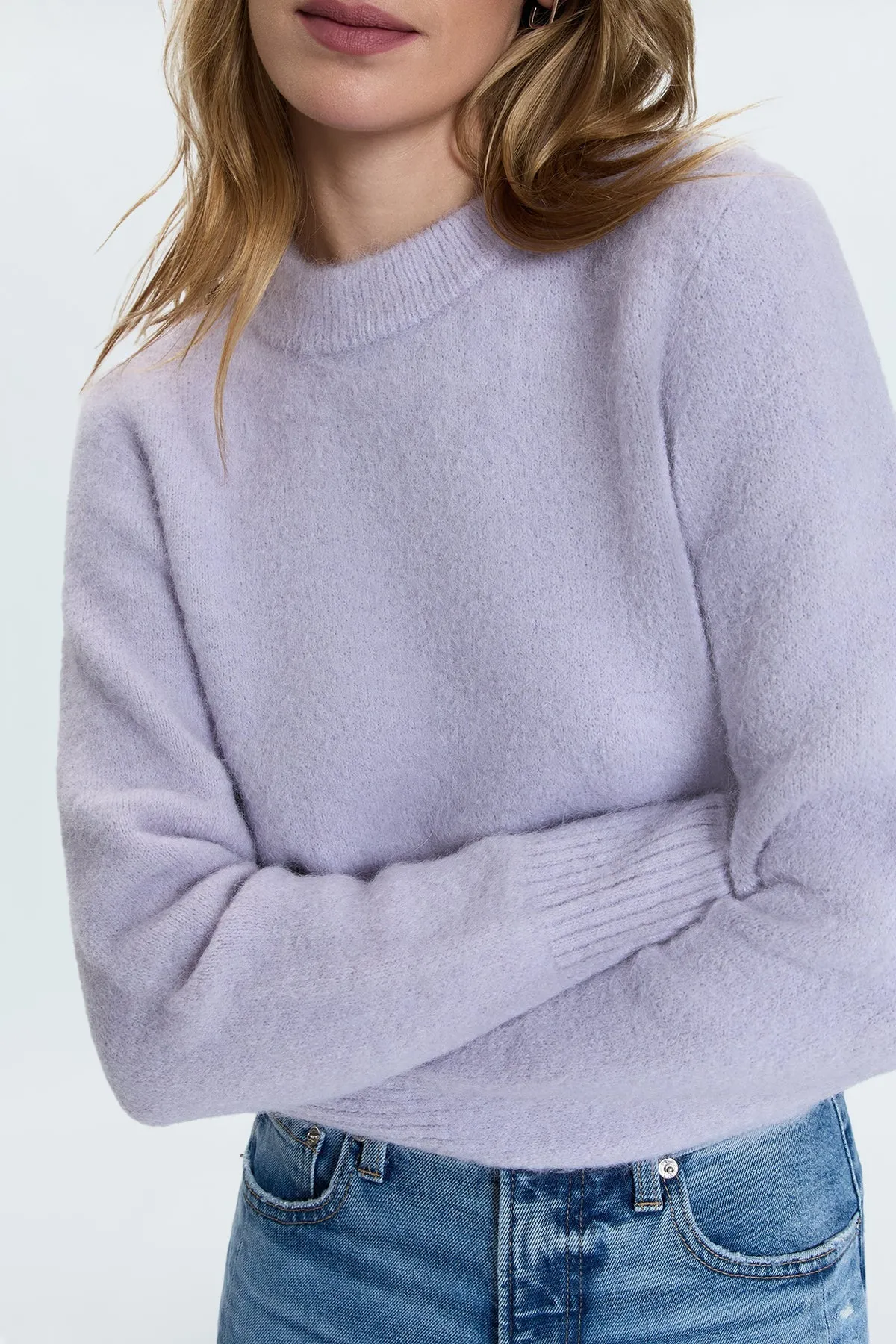 PIS Sara Shrunken Crewneck Sweater in Heather Wisteria