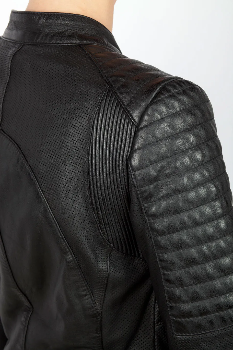 Wild & Free Jacket 1.0